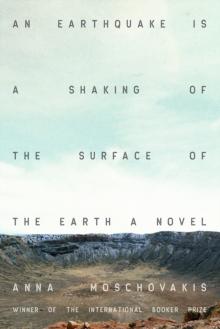 An Earthquake is A Shaking of the Surface of the Earth : A Novel