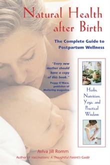 Natural Health after Birth : The Complete Guide to Postpartum Wellness