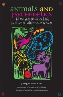 Animals and Psychedelics : The Natural World and the Instinct to Alter Consciousness