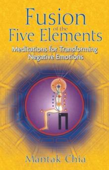 Fusion of the Five Elements : Meditations for Transforming Negative Emotions