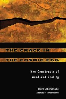 The Crack in the Cosmic Egg : New Constructs of Mind and Reality