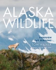 Alaska Wildlife : Through the Season