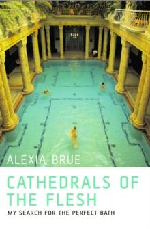 Cathedrals of the Flesh : My Search for the Perfect Bath