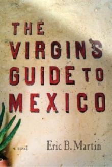 The  Virgins Guide to Mexico