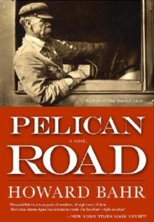 Pelican Road