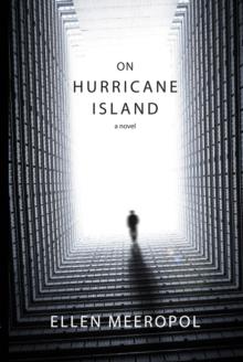 On Hurricane Island : A Novel