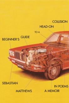 Beginner's Guide to a Head-On Collision : A Memoir in Poems