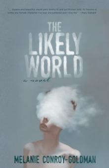 The Likely World : A Novel