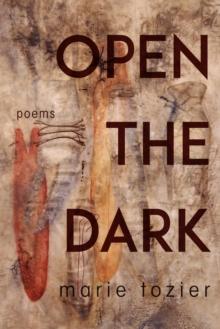 Open the Dark : Poems