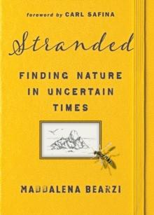 Stranded : Finding Nature in Uncertain Times