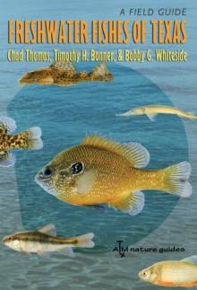 Freshwater Fishes of Texas : A Field Guide