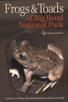 Frogs and Toads of Big Bend National Park