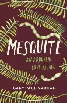 Mesquite : An Arboreal Love Affair