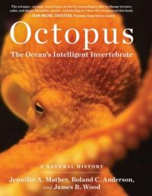 Octopus : The Ocean's Intelligent Invertebrate