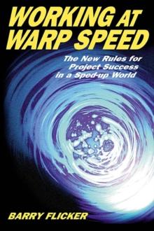 Working at Warp Speed : The New Rules for Project Success in a Sped-up World