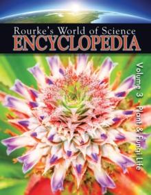 Science Encyclopedia Plant Life