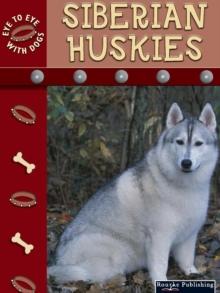 Siberian Huskies