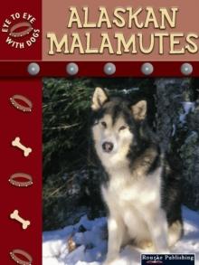 Alaskan Malamutes