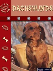 Dachshunds