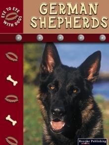 German Shepherds