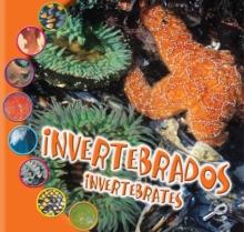 Invertebrados : Invertebrates