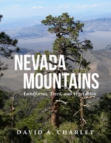 Nevada Mountains : Landforms, Trees, and Vegetation