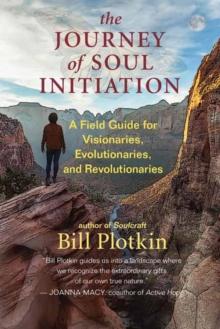 The Journey of Soul Initiation : A Field Guide for Visionaries, Revolutionaries, and Evolutionaries