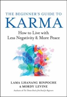 The Beginners Guide to Karma : How to Live with Less Negativity and More Peace