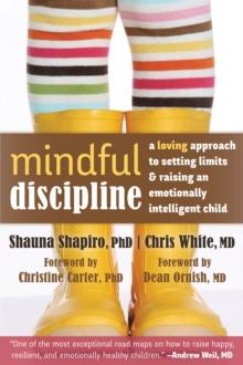 Mindful Discipline