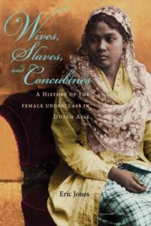 Wives, Slaves, and Concubines : A History of the Female Underclass in Dutch Asia