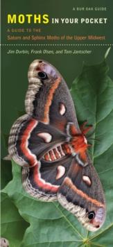 Moths in Your Pocket : A Guide to the Saturn and Sphinx Moths of the Upper Midwest