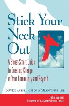 Stick Your Neck Out : A Street-Smart Guide to Creating Change in Your Community and Beyond