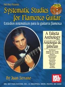 Systematic Studies for Flamenco Guitar