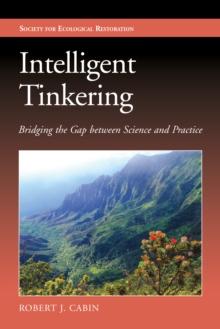 Intelligent Tinkering : Bridging the Gap between Science and Practice