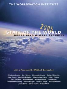 State of the World 2005 : Redefining Global Security