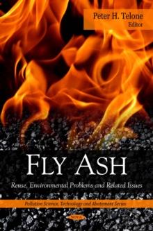 Fly Ash : Reuse, Environmental Problems and Related Issues