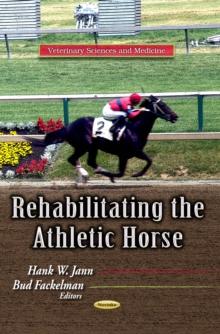 Rehabilitating the Athletic Horse