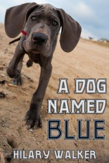 Dog Named Blue