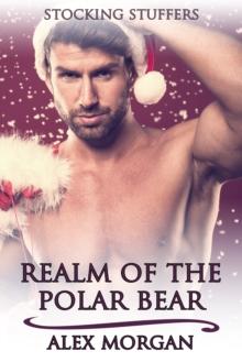 Realm of the Polar Bear