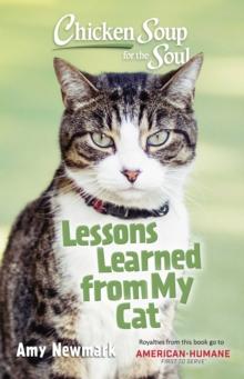 Chicken Soup for the Soul: Lessons Learned from My Cat : 101 Tales of Friendship & Fun