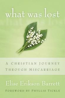 What Was Lost : A Christian Journey through Miscarriage