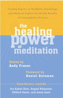 The Healing Power of Meditation : Leading Experts on Buddhism, Psychology, and Medicine Explore the Health Benefits of Contemplative Practice