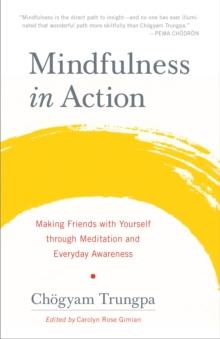 Mindfulness in Action : Making Friends with Yourself through Meditation and Everyday Awareness