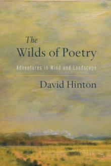 The Wilds of Poetry : Adventures in Mind and Landscape