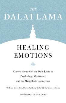 Healing Emotions : Conversations with the Dalai Lama on Psychology, Meditation, and the Mind-Body Connection