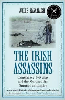 The Irish Assassins : Conspiracy, Revenge and the Murders that Stunned an Empire