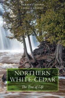 Northern White-Cedar : The Tree of Life