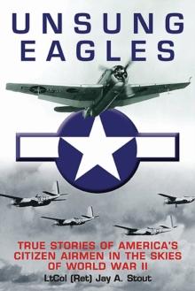 Unsung Eagles : True Stories of America's Citizen Airmen in the Skies of World War II