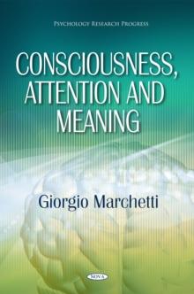 Consciousness, Attention and Meaning