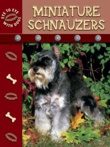 Miniature Schnauzer